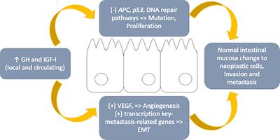 Acromegaly and Colorectal Neoplasm: An Update